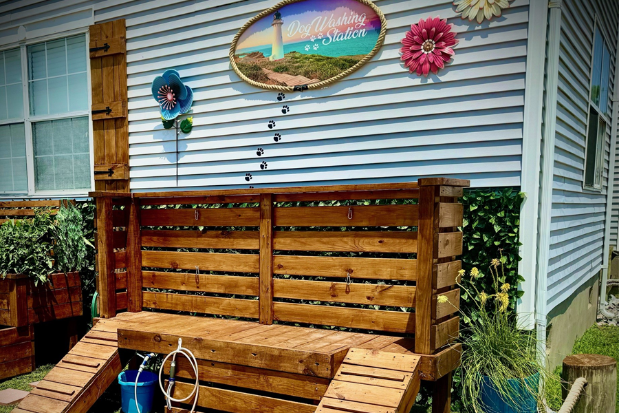 Dog-Washing Station